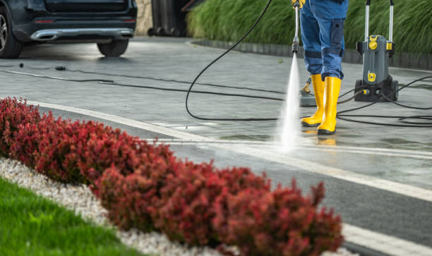 Best Sidewalk Pressure Washing  in Old Fig Garden, CA